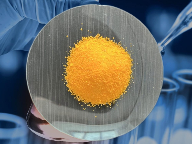 聚合物单体阻聚难题？4 - 苯基亚甲基 - 2,6 - 二叔丁基环己二烯酮的实用解决方案