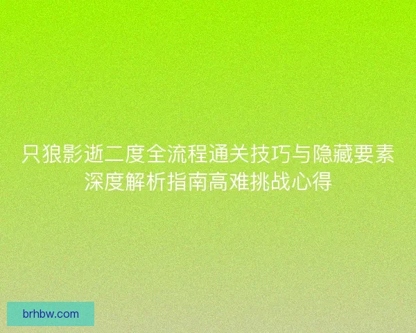 只狼影逝二度全流程通关技巧与隐藏要素深度解析指南高难挑战心得