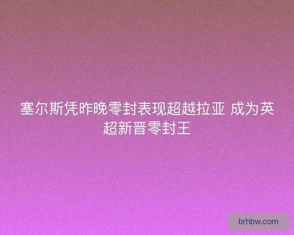 塞尔斯凭昨晚零封表现超越拉亚 成为英超新晋零封王